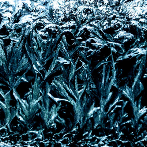 Winter Solstice Rituals & How to Celebrate with Incense