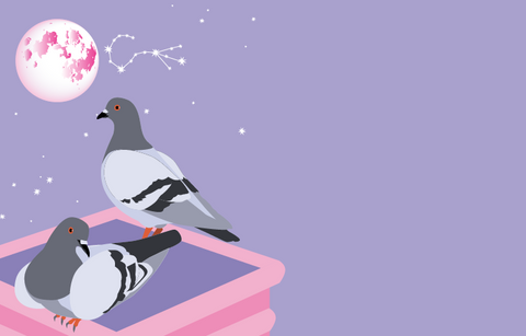 Two pigeons sit on top of a building with a bright full moon in a starry pale purple sky with the constellation of Scorpio highlighted. 