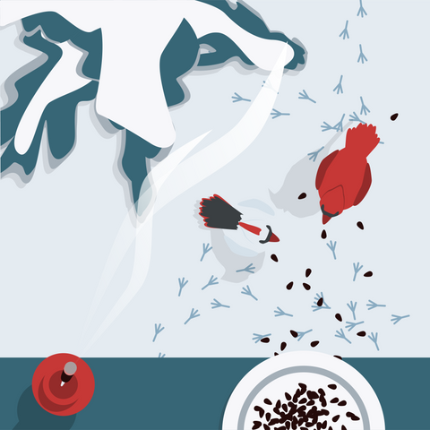 Overhead illustrated view of snowy ground, a snow covered spruce tree branch, and the edge of a table or windowsill with a burning incense stick and bowl of bird seed sitting on it. On the ground sits a red bird and a white bird with a dark tail surrounded by bird seed and bird tracks in the snow.
