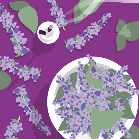 An overhead illustrated view of purple patchouli flowers in a white bowl. The bowl sits next to upright burning incense sticks on a dark purple surface with other patchouli blooms strewn around. 