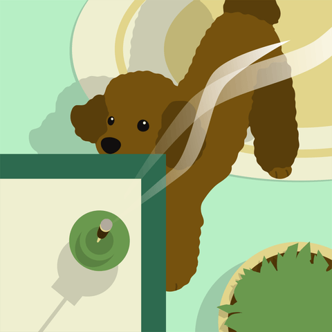 An illustrated image of a poodle staring up at a table with an out of reach stick of burning incense on it.
