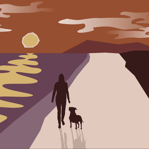 An illustration of the silhouette of a woman and a dog walking on a beach at sunset.