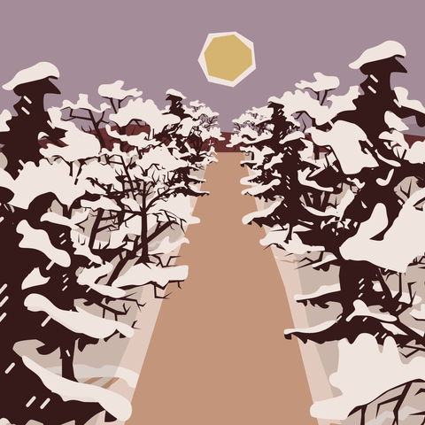 Winter Solstice Rituals & How to Celebrate with Incense