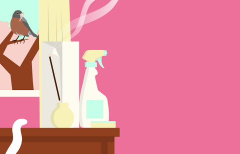 An illustration of cleaning supplies next to an open window with a robin sitting in a tree and incense burning on a table. 