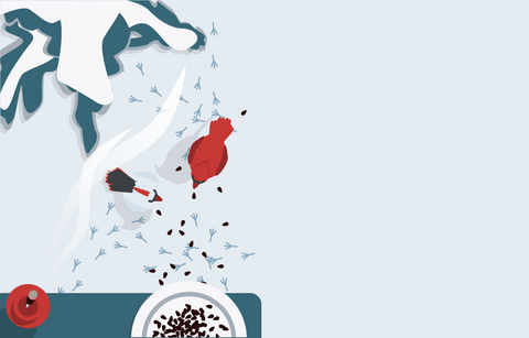 Overhead illustrated view of snowy ground, a snow covered spruce tree branch, and the edge of a table or windowsill with a burning incense stick and bowl of bird seed sitting on it. On the ground sits a red bird and a white bird with a dark tail surrounded by bird seed and bird tracks in the snow. 