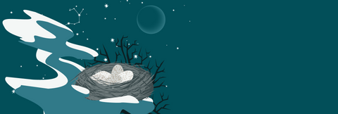 A grey nest containing several white lightly speckled sits on a snowy tree branch against a grey blue night sky. The sky contains stars, an outline of the new moon, and the constellation of Sagittarius is highlighted. 