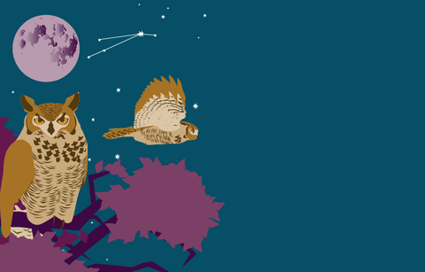 A great horned owl in shades of brown, tan and gold roosts on a dark tree branch with burgundy leaves. Another similar owl is flying against a starry indigo sky with a full moon and the constellation of Aries highlighted.