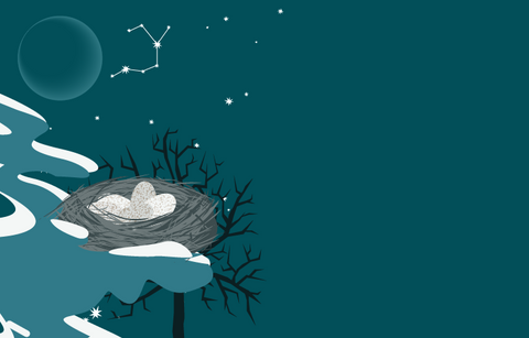 A grey nest containing several white lightly speckled sits on a snowy tree branch against a grey blue night sky. The sky contains stars, an outline of the new moon, and the constellation of Sagittarius is highlighted. 