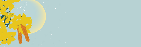 A light blue sky with stars and the outline of the new moon peaking out behind the leaves and catkins of the white birch. The constellation of Virgo is visible on the moon. 
