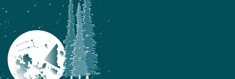 A deep teal night sky with stars and the full moon with sub-alpine firs in the foreground. The constellation of Gemini and an outline of the Yukon is visible on the moon.