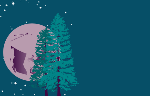 A dark blue-green sky with stars and the full moon with western red cedars in the foreground. The constellation of Aries and an outline of the province of BC is visible on the moon.