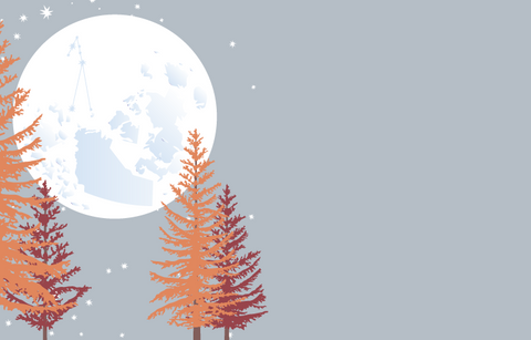A light pink grey sky with stars and the full moon with tamarak larchs in the foreground. The constellation of Taurus and an outline of the North West Territories is visible on the moon.