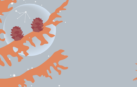 A light pink grey sky with stars and the outline of the new moon peaking out behind the tan branches and pine cones of the tamarak larch. The constellation of Libra is visible on the moon.
