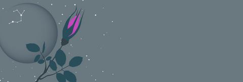 A dark grey night sky with stars and the outline of the new moon with the constellation of Sagittarius visible on the moon. In the foreground is a single bud of a prairie rose, the official flower of the province of Alberta.