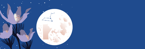 A dark blue night sky with stars and the full moon with the prairie crocus in full bloom in the foreground. The constellation of Leo and the outline of Manitoba are visible on the moon.