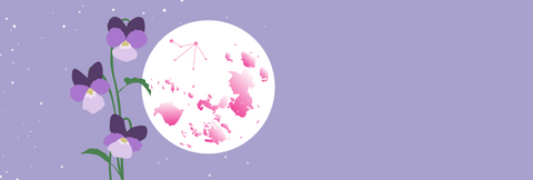 A pale lilac night sky with stars and the full moon with the purple violet in full bloom in the foreground. The constellation of Libra and the outline of New Brunswick are visible on the moon.