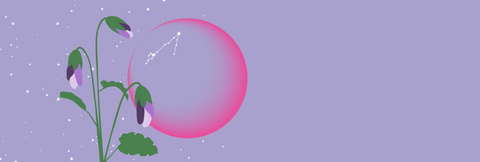 A pale lilac night sky with stars and the outline of the new moon with the constellation of Pisces visible on the moon. In the foreground are the buds of the purple violet, the official flower of the province of New Brunswick.