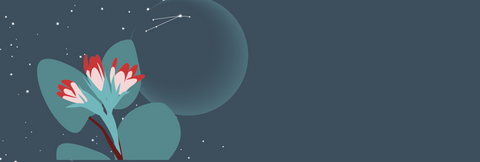 A dark grey night sky with stars and the outline of the new moon with the constellation of Aries visible on the moon. In the foreground are the buds of the mayflower, the official flower of the province of Nova Scotia.