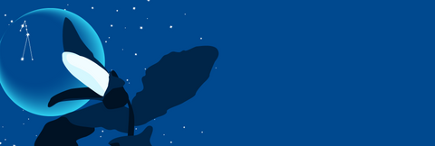 A vivid deep blue night sky with stars and the outline of the new moon with the constellation of Taurus visible on the moon. In the foreground are the buds of the trillium, the official flower of the province of Ontario.