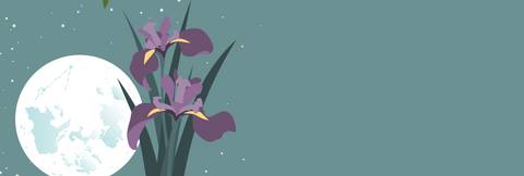 A grey night sky with stars and the full sturgeon moon with the constellation of Pisces visible on the moon. In the foreground are blooming blue iris, the official flower of the province of Quebec.