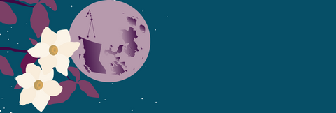 A dark blue grey night sky with stars and the full hunter's moon with the constellation of Taurus visible on the moon. In the foreground are blooming pacific dogwood, the official flower of the province of British Columbia.