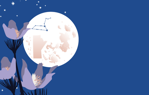 A dark blue night sky with stars and the full moon with the prairie crocus in full bloom in the foreground. The constellation of Leo and the outline of Manitoba are visible on the moon.