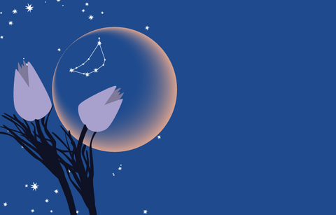 A dark blue night sky with stars and the outline of the new moon with the constellation of Capricorn visible on the moon. In the foreground are the buds of the prairie crocus , the official flower of the province of Manitoba.