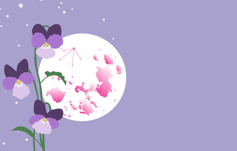 A pale lilac night sky with stars and the full moon with the purple violet in full bloom in the foreground. The constellation of Libra and the outline of New Brunswick are visible on the moon.