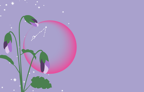 A pale lilac night sky with stars and the outline of the new moon with the constellation of Pisces visible on the moon. In the foreground are the buds of the purple violet, the official flower of the province of New Brunswick.