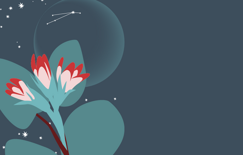 A dark grey night sky with stars and the outline of the new moon with the constellation of Aries visible on the moon. In the foreground are the buds of the mayflower, the official flower of the province of Nova Scotia.