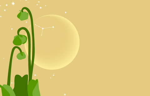 A  peachy gold night sky with stars and the outline of the new moon with the constellation of Cancer visible on the moon. In the foreground are the buds of the pitcher plant, the official flower of Newfoundland and Labrador.
