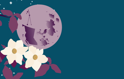 A dark blue grey night sky with stars and the full hunter's moon with the constellation of Taurus visible on the moon. In the foreground are blooming pacific dogwood, the official flower of the province of British Columbia.