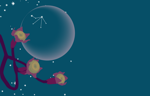 A dark blue grey night sky with stars and the outline of the new moon with the constellation of Libra visible on the moon. In the foreground are the buds of the pacific dogwood, the official flower of the province of British Columbia.