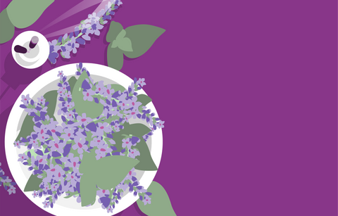 An overhead illustrated view of purple patchouli flowers in a white bowl. The bowl sits next to upright burning incense sticks on a dark purple surface with other patchouli blooms strewn around. 