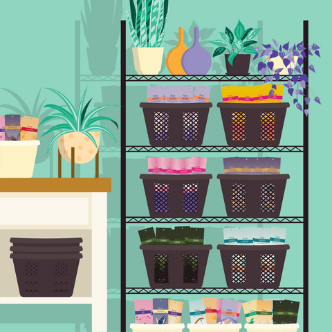An illustrated image of a shelf holding multiple baskets filled with packages of wholesale incense. There are several plants and decorative bottles on the shelves next to the baskets.